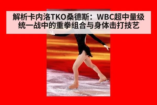 解析卡内洛TKO桑德斯:WBC超中量级统一战中的重拳组合与身体击打技艺